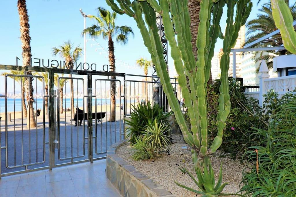 Luxurious 2-Bedroom Apt With Stunning Views, 1St Line On Levante Beach, Benidorm Exteriér fotografie